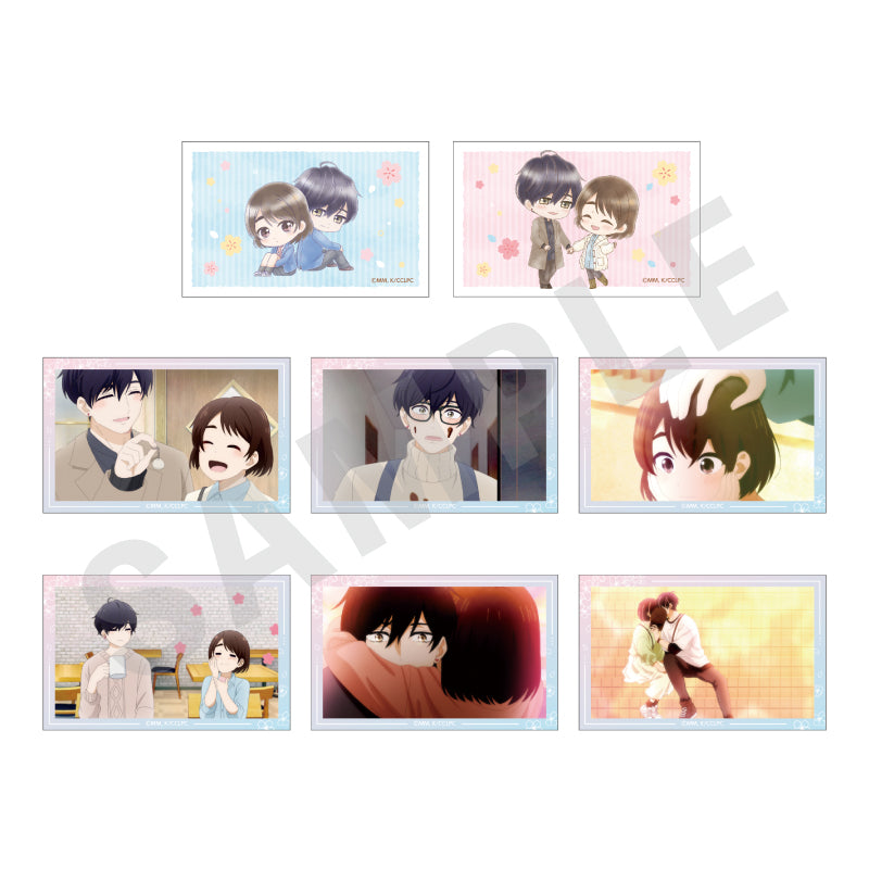 【全種セット】「花野井くんと恋の病」トレーディングカード型ステッカー (全8種) の商品画像1枚目です