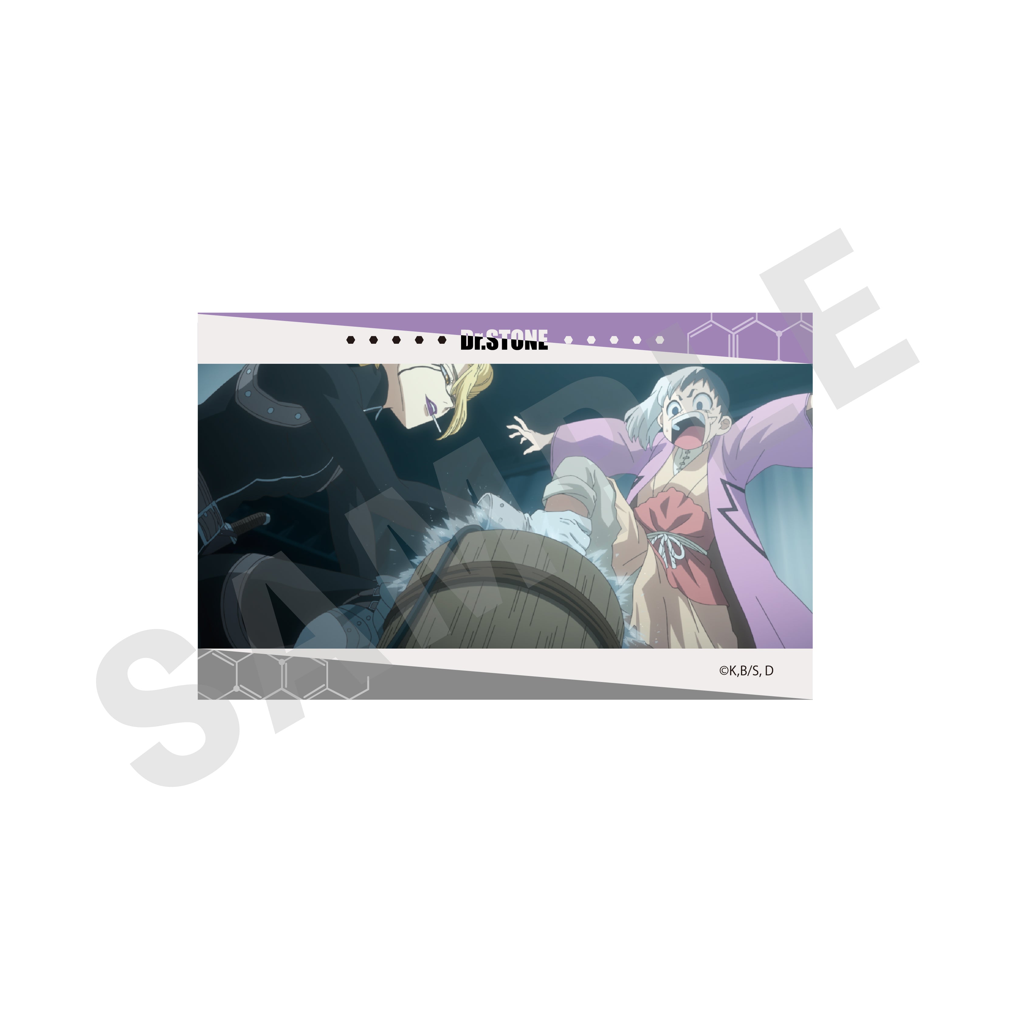 【単品】「Dr.STONE」トレーディングカード(全10種) の商品画像11枚目です