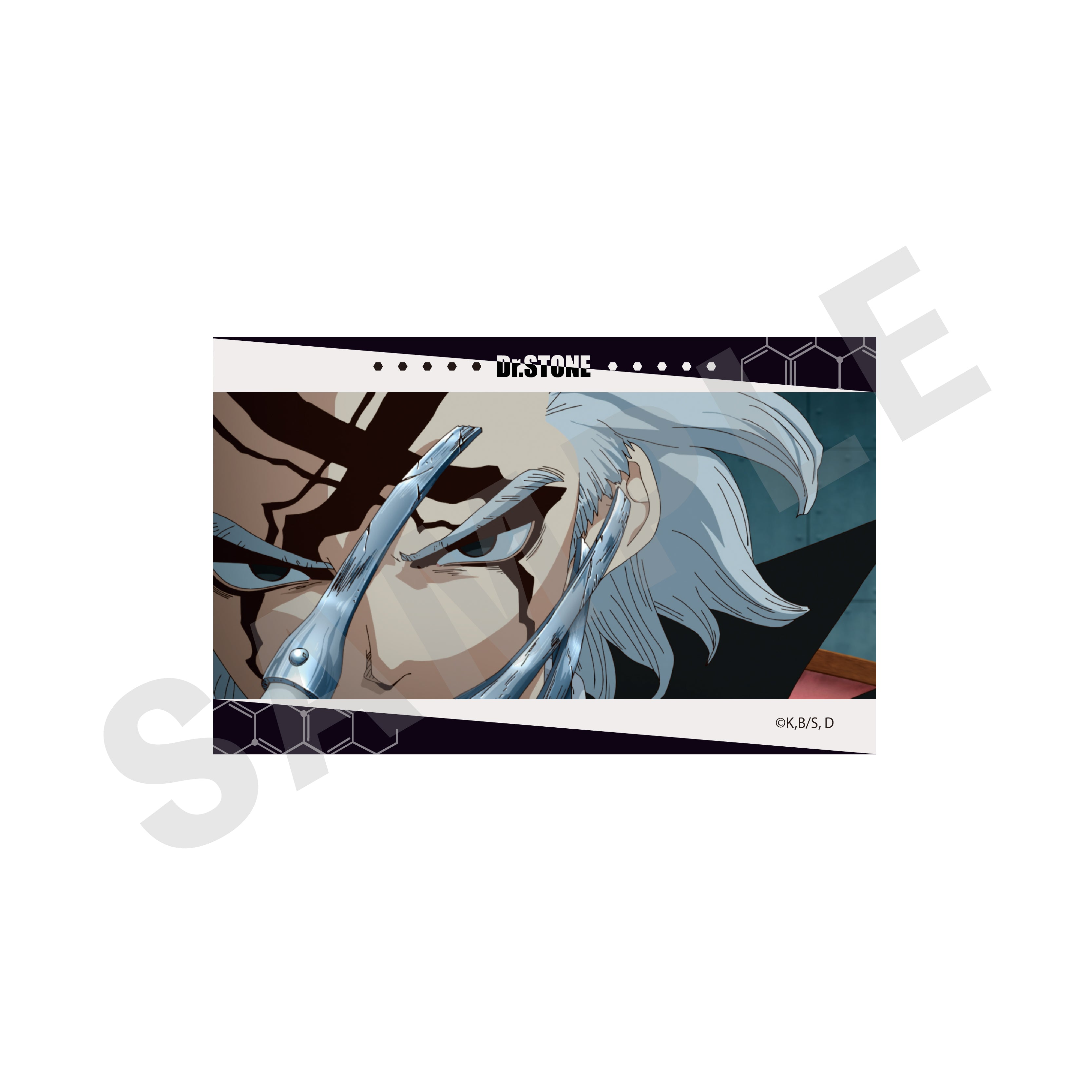 【単品】「Dr.STONE」トレーディングカード(全10種) の商品画像8枚目です