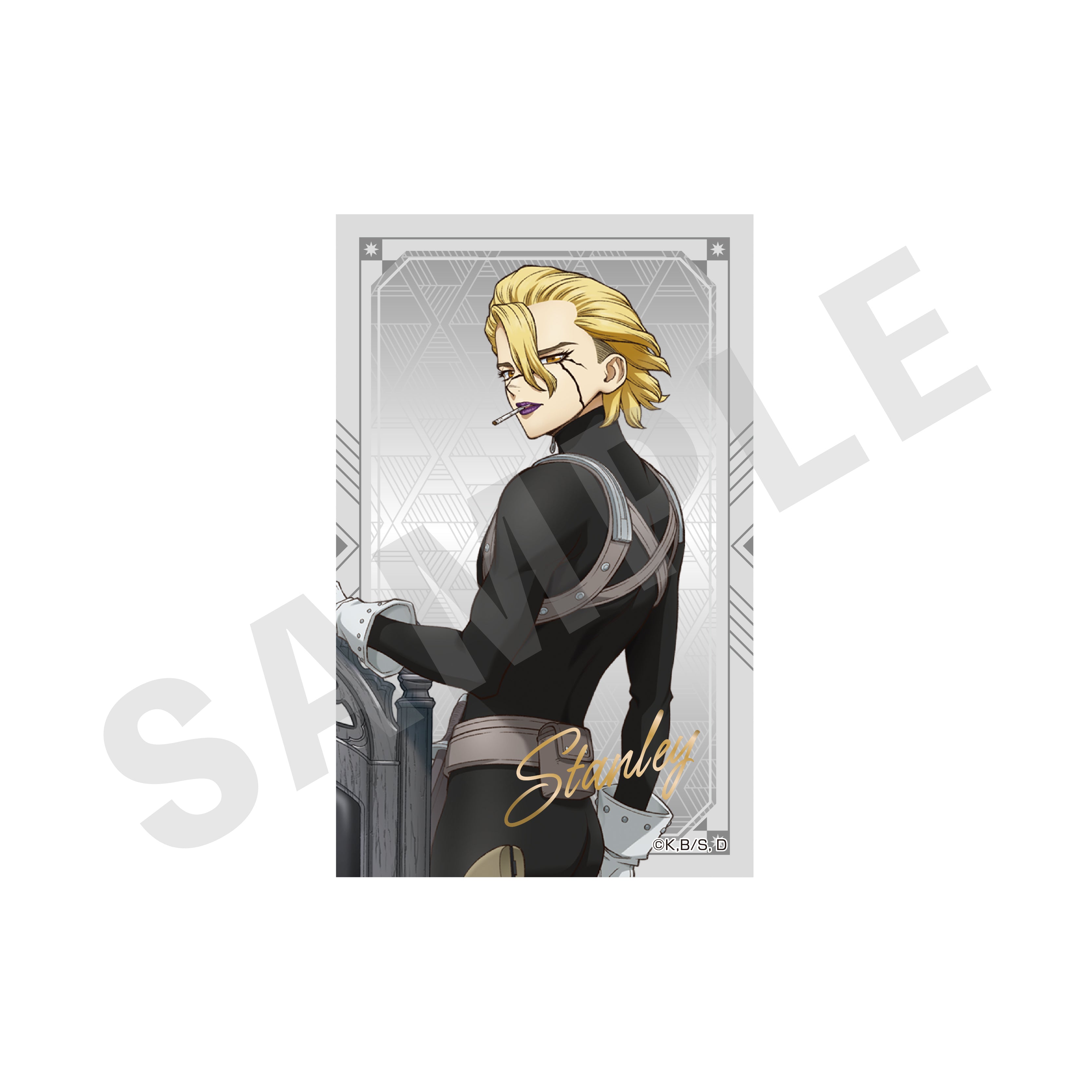 【全種セット】「Dr.STONE」トレーディングカード(全10種) の商品画像5枚目です