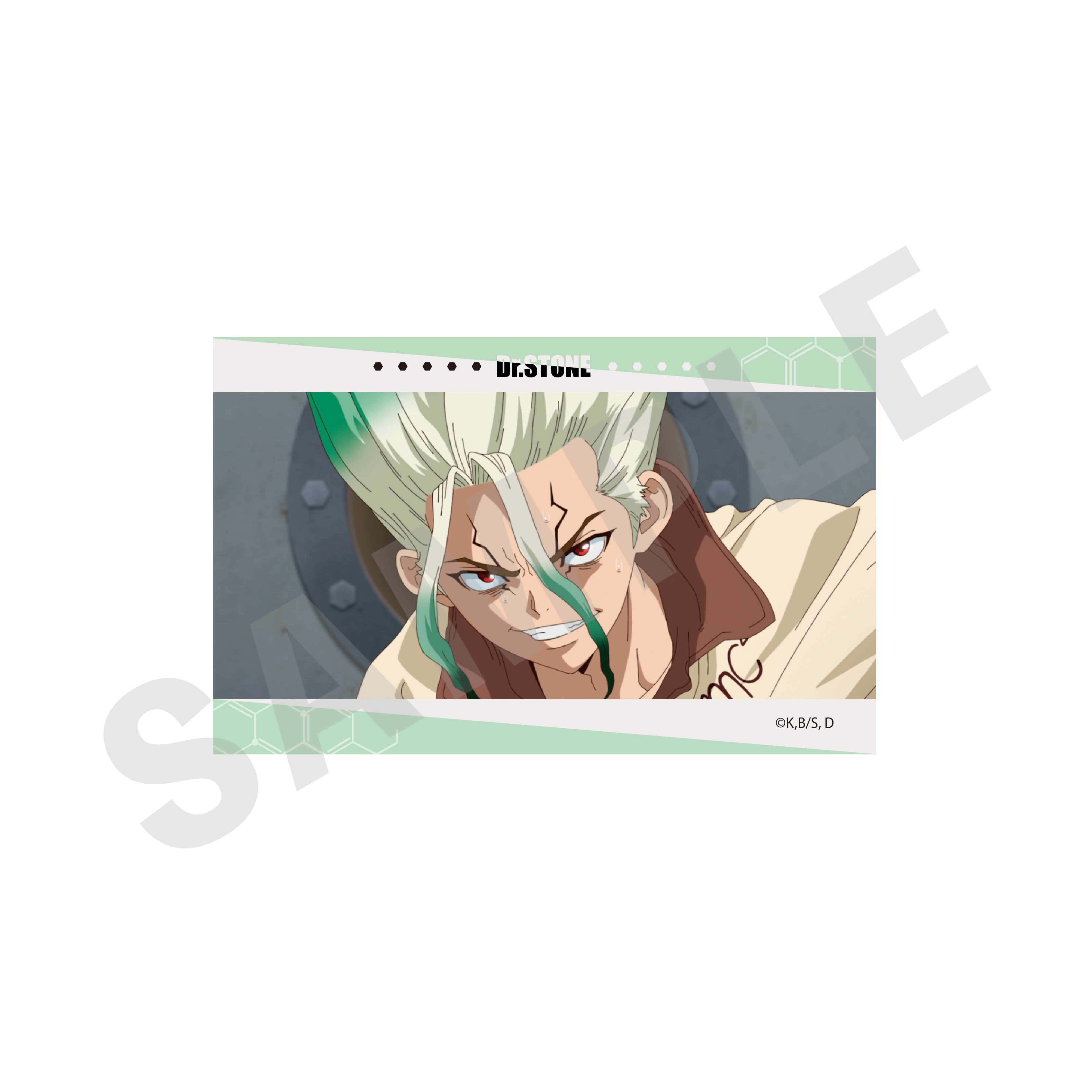 【全種セット】「Dr.STONE」トレーディングカード(全10種) の商品画像6枚目です