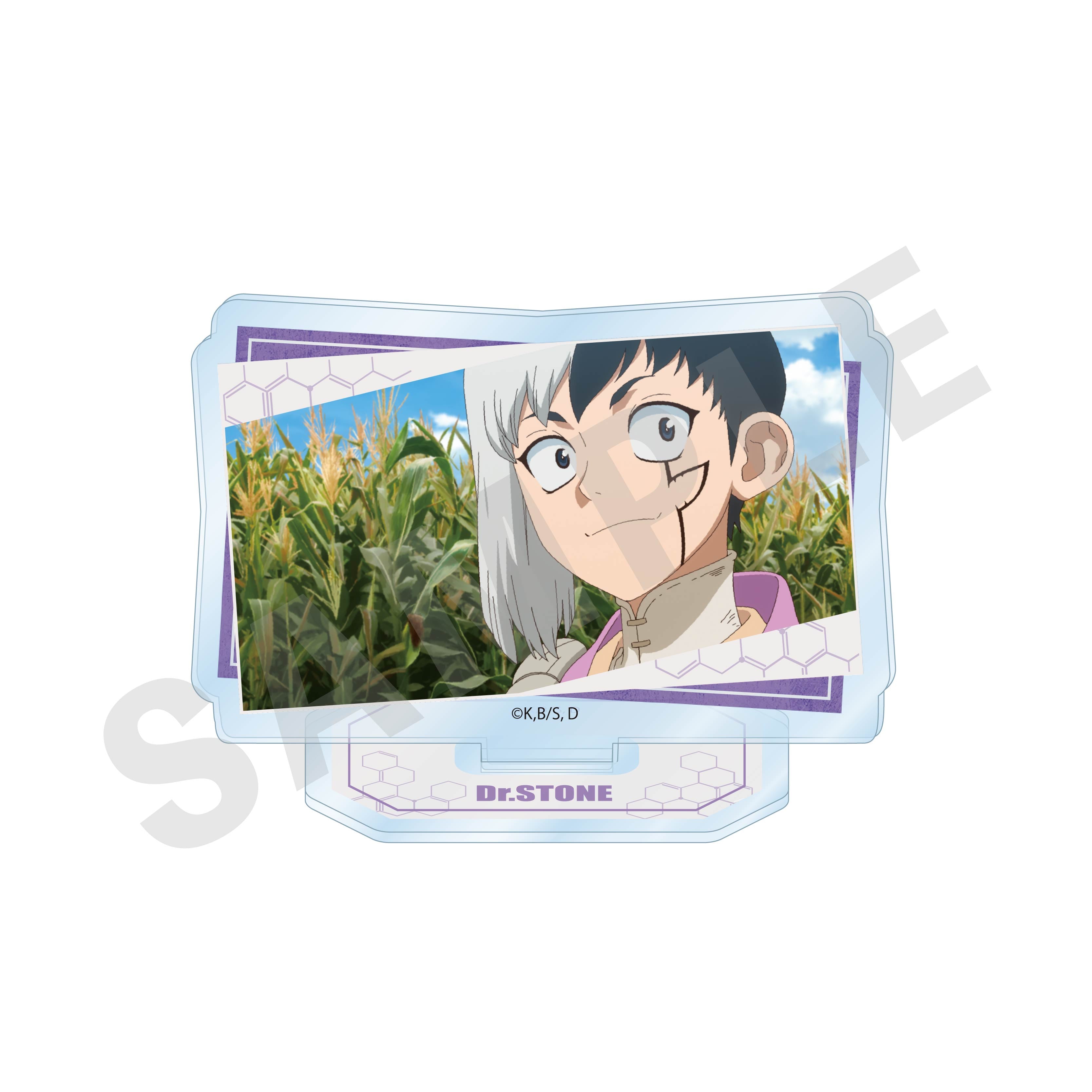 【単品】「Dr.STONE」トレーディング場面写アクリルスタンド(全10種) の商品画像3枚目です