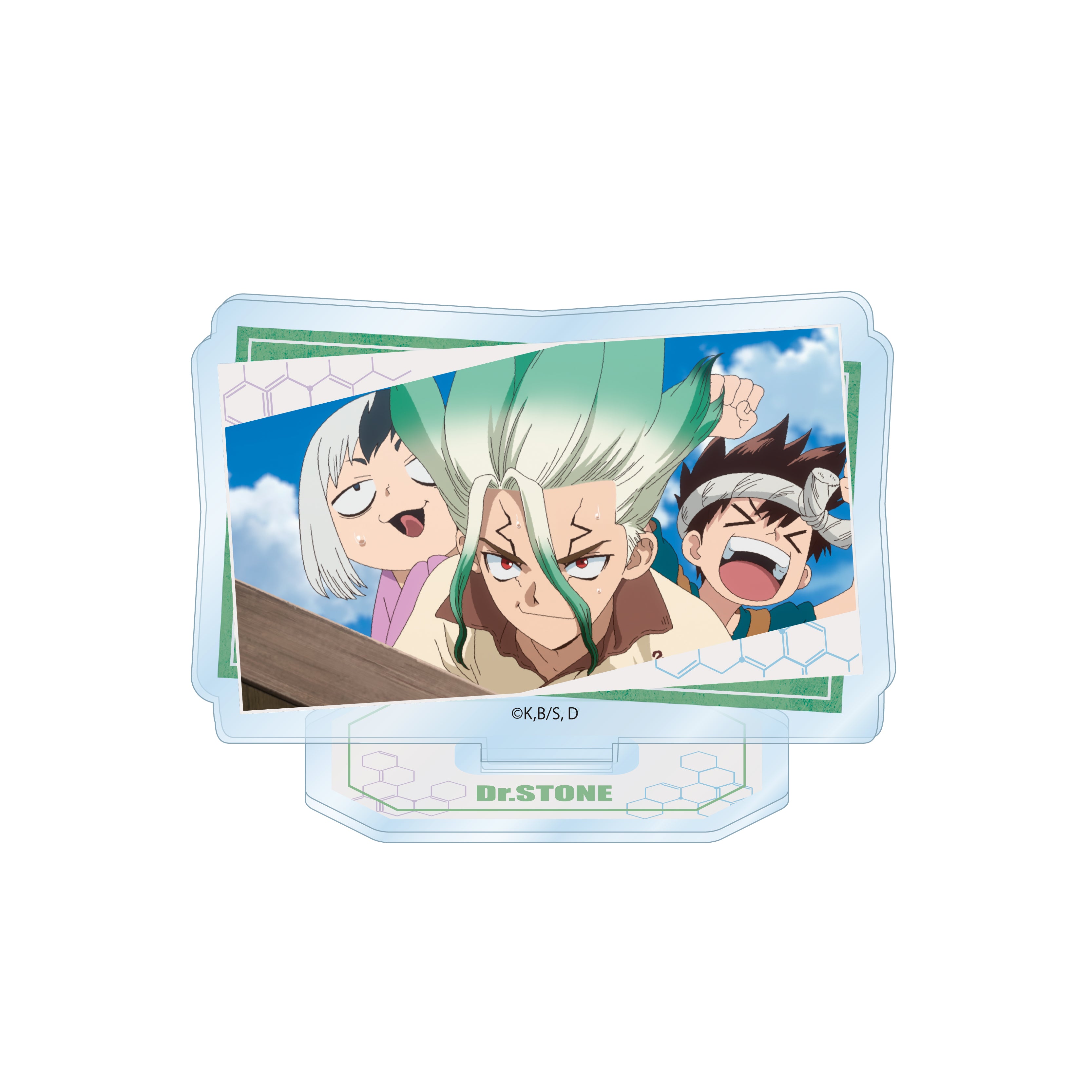 【全種セット】「Dr.STONE」トレーディング場面写アクリルスタンド(全10種) の商品画像11枚目です