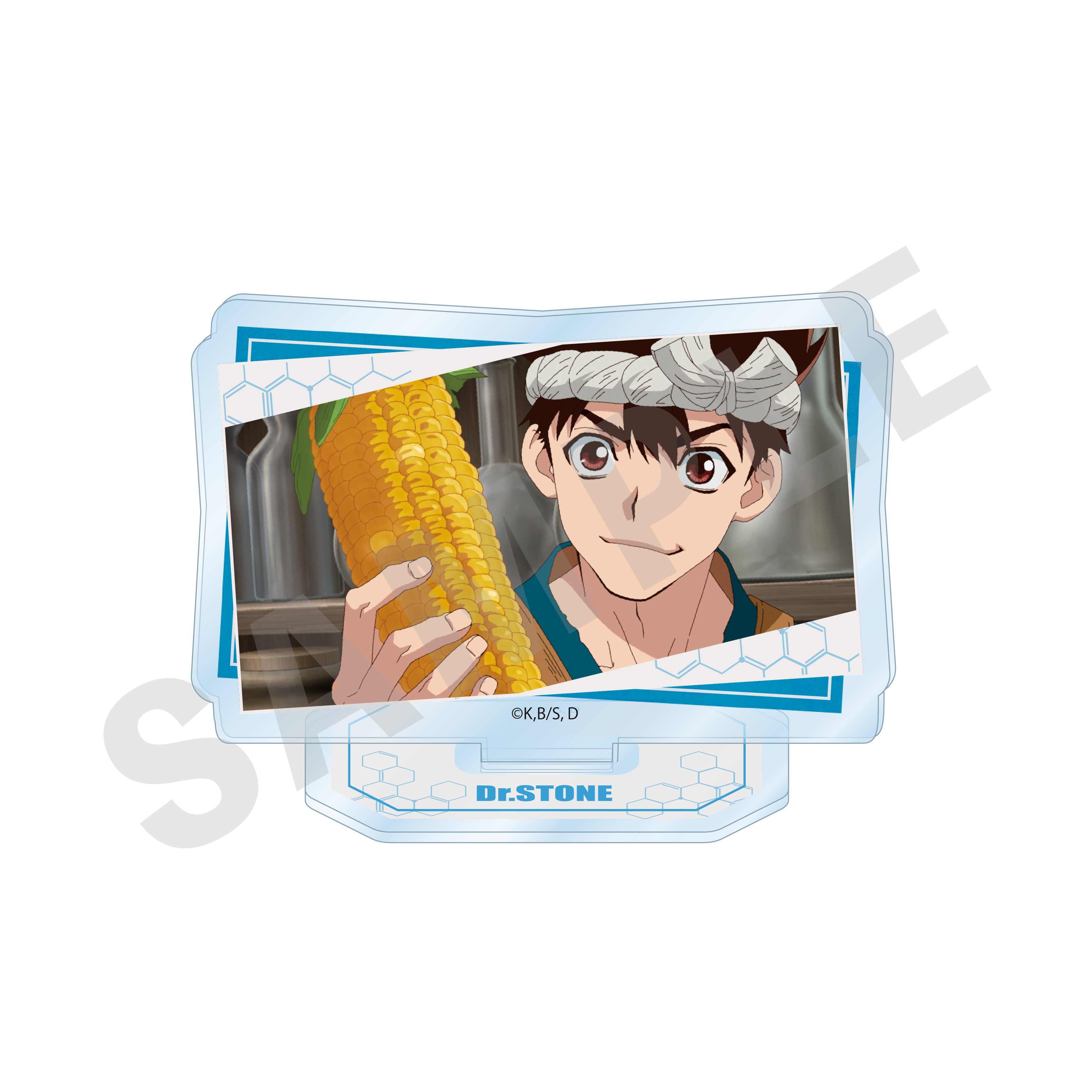 【全種セット】「Dr.STONE」トレーディング場面写アクリルスタンド(全10種) の商品画像5枚目です