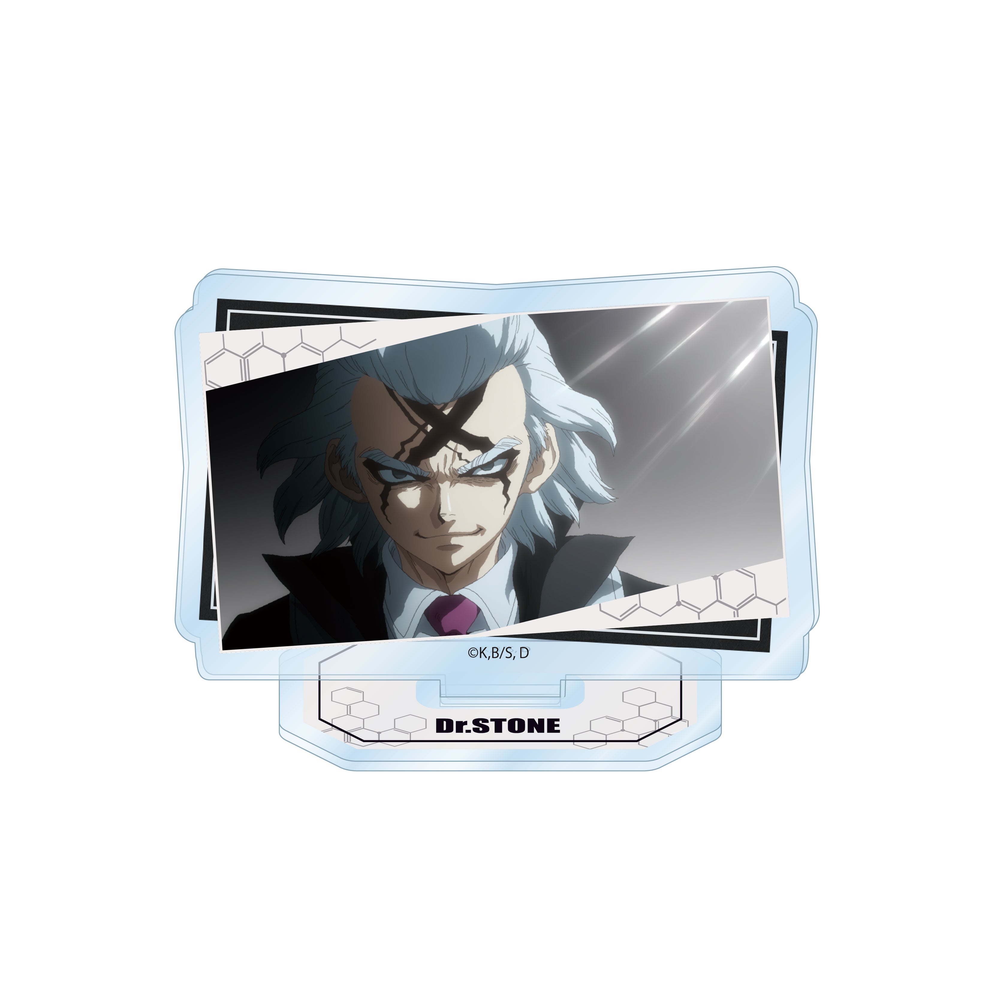 【全種セット】「Dr.STONE」トレーディング場面写アクリルスタンド(全10種) の商品画像8枚目です