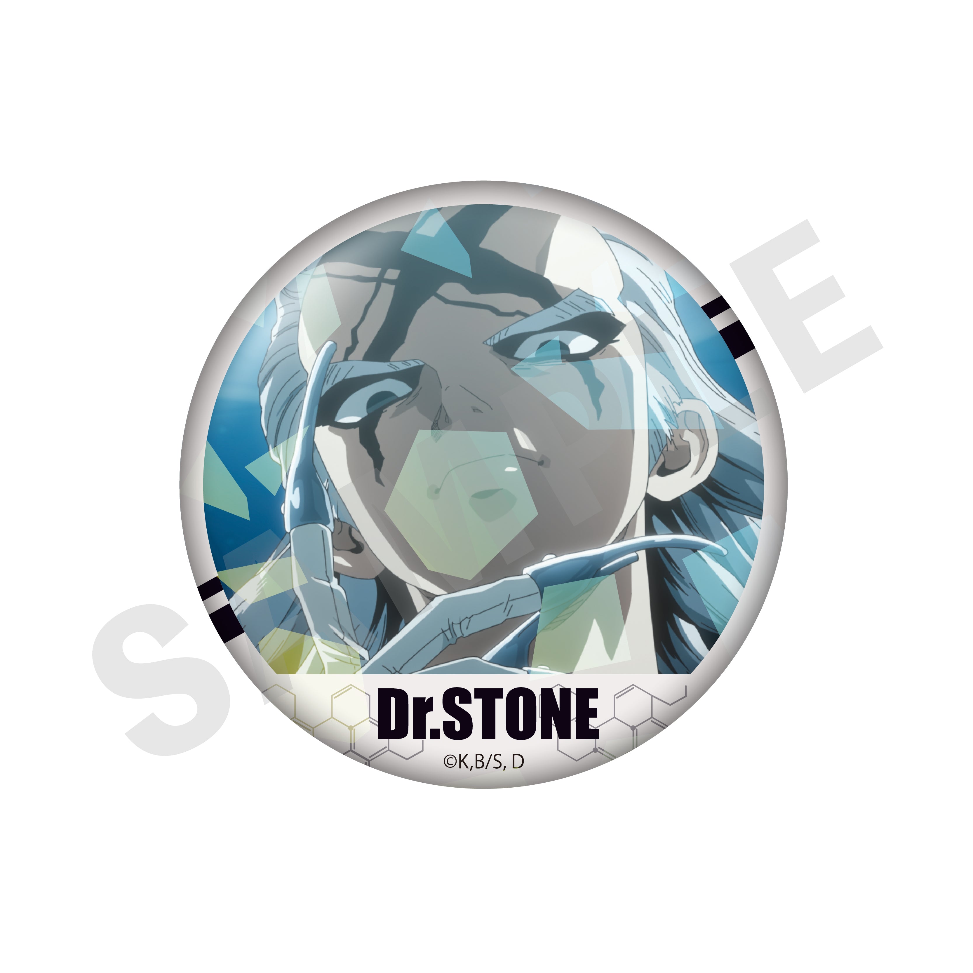 【全種セット】「Dr.STONE」トレーディングキラキラ場面写缶バッジ(全10種)