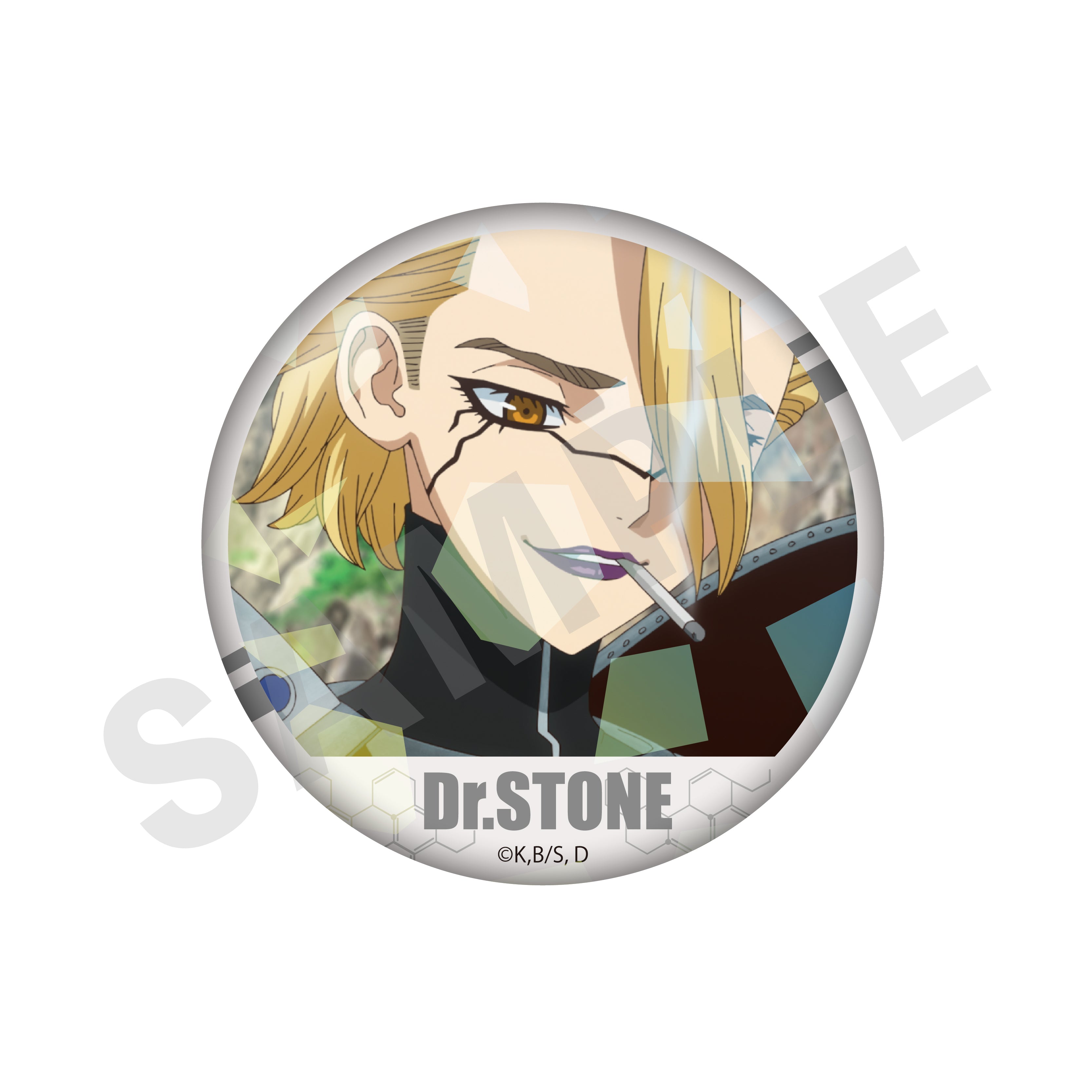 【全種セット】「Dr.STONE」トレーディングキラキラ場面写缶バッジ(全10種)