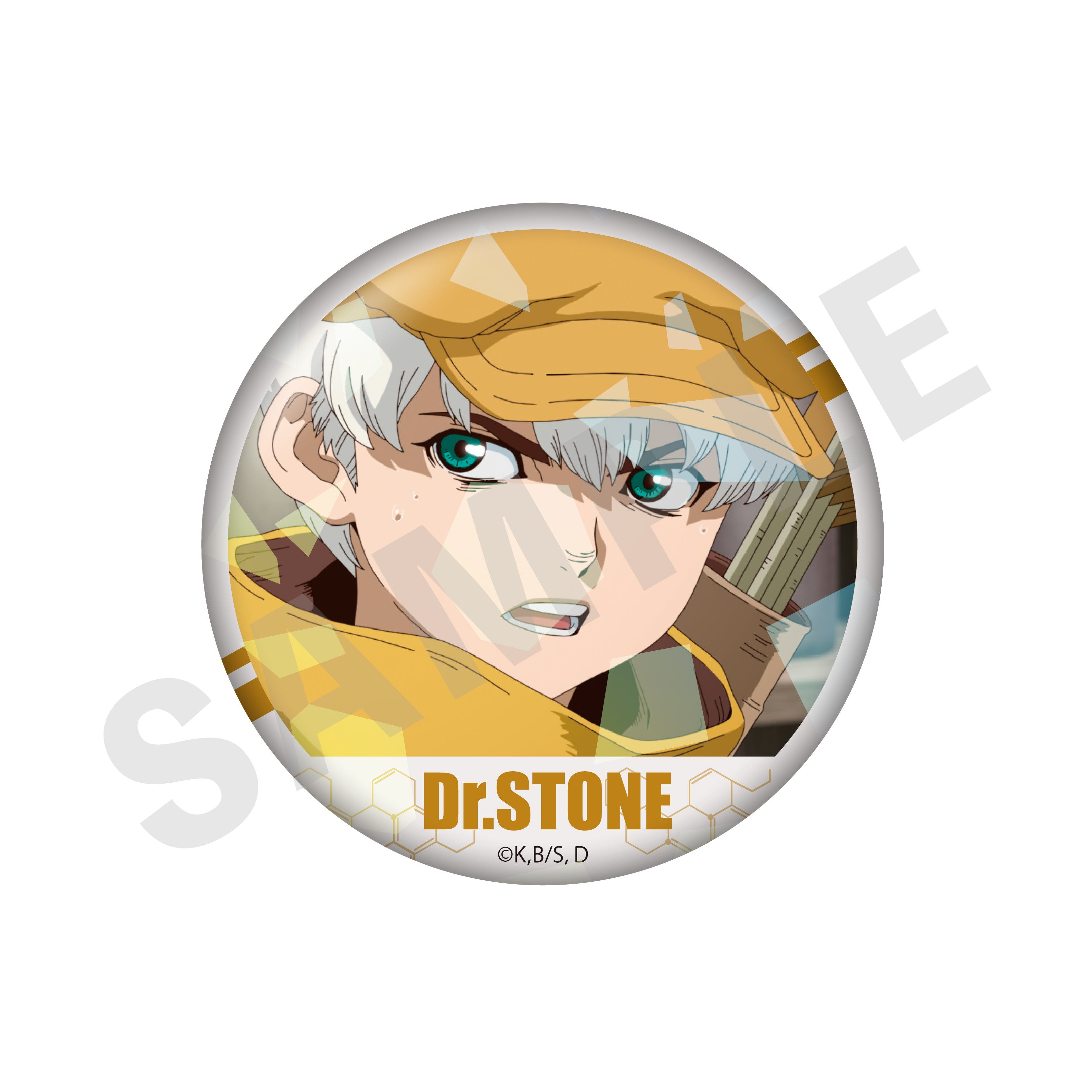 【全種セット】「Dr.STONE」トレーディングキラキラ場面写缶バッジ(全10種)
