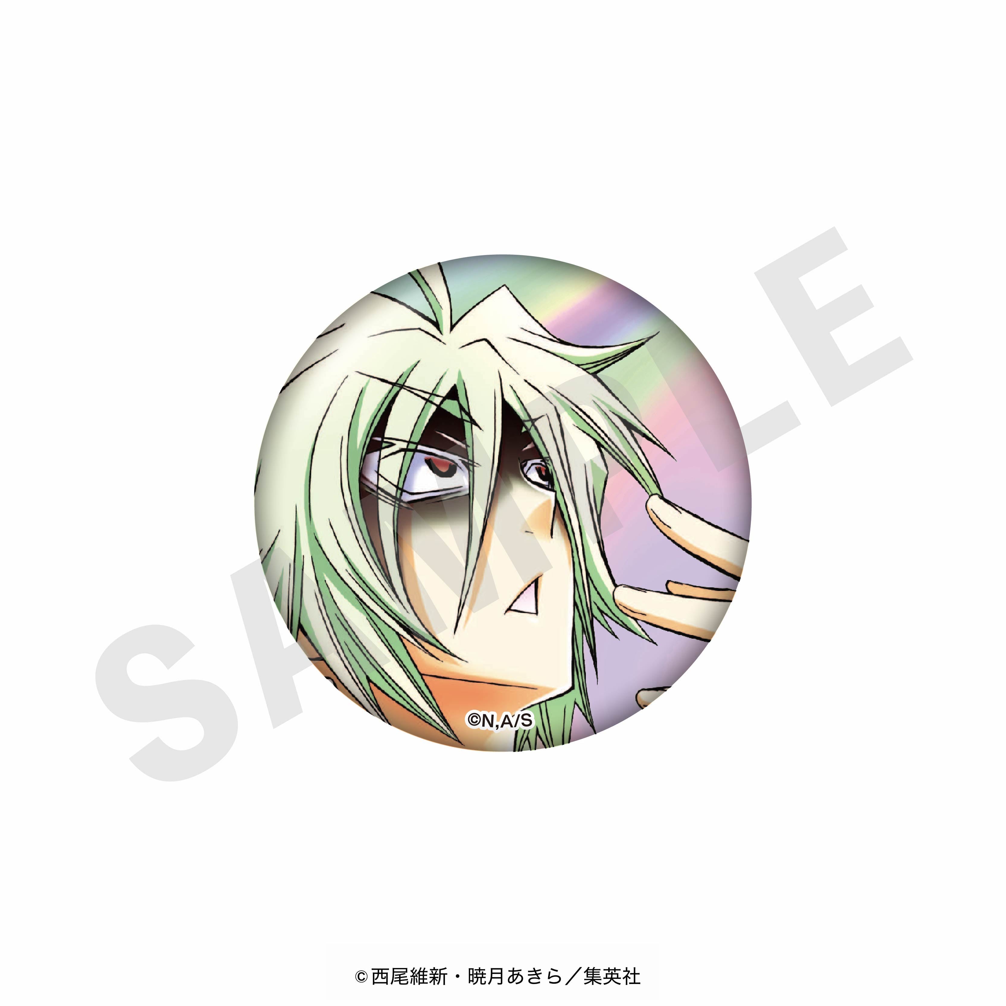 【全種セット】「めだかボックス」オーロラ缶バッジ(全12種) の商品画像13枚目です