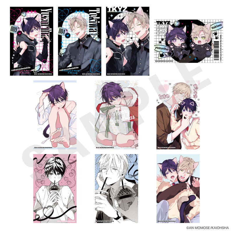 単品】「ナカまであいして」 トレーディングカード vol.2（全10種