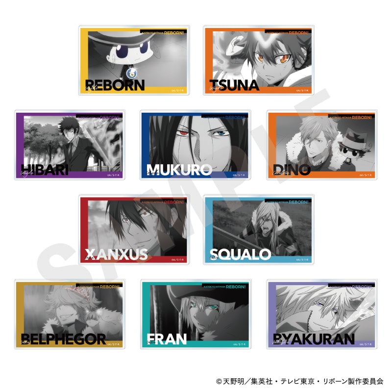 単品】「家庭教師ヒットマンREBORN!」 パートカラーシリーズ