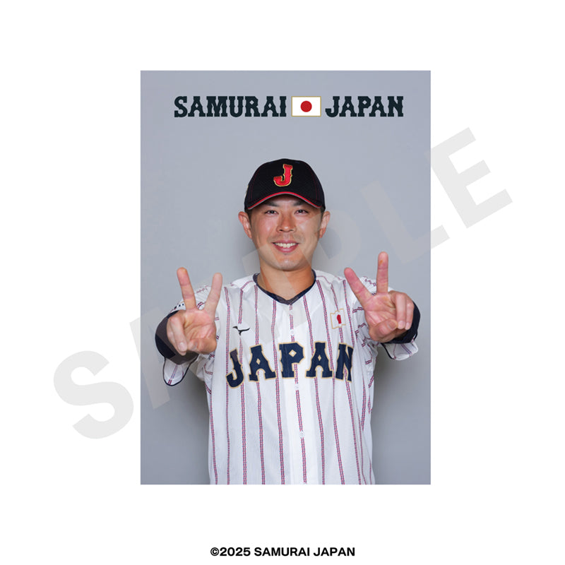 野球日本代表 侍ジャパン のグッズ、若月健矢のブロマイドの画像です