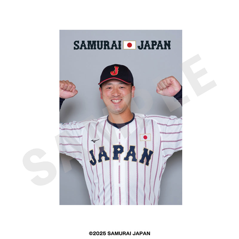 野球日本代表 侍ジャパン のグッズ、岸田行倫のブロマイドの画像です