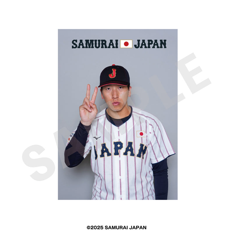 野球日本代表 侍ジャパン のグッズ、大勢のブロマイドの画像です