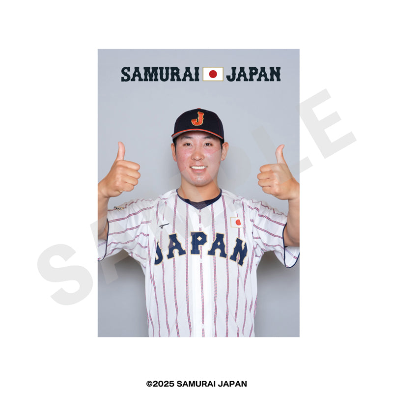 野球日本代表 侍ジャパン のグッズ、藤平尚真のブロマイドの画像です