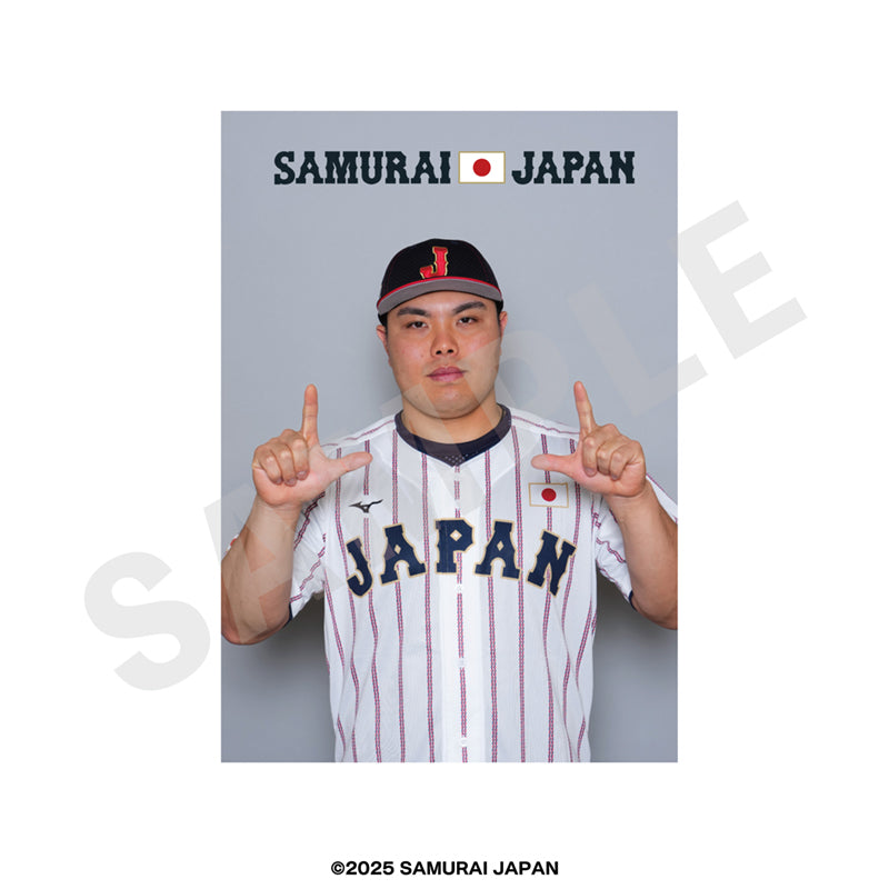野球日本代表 侍ジャパン のグッズ、平良海馬のブロマイドの画像です