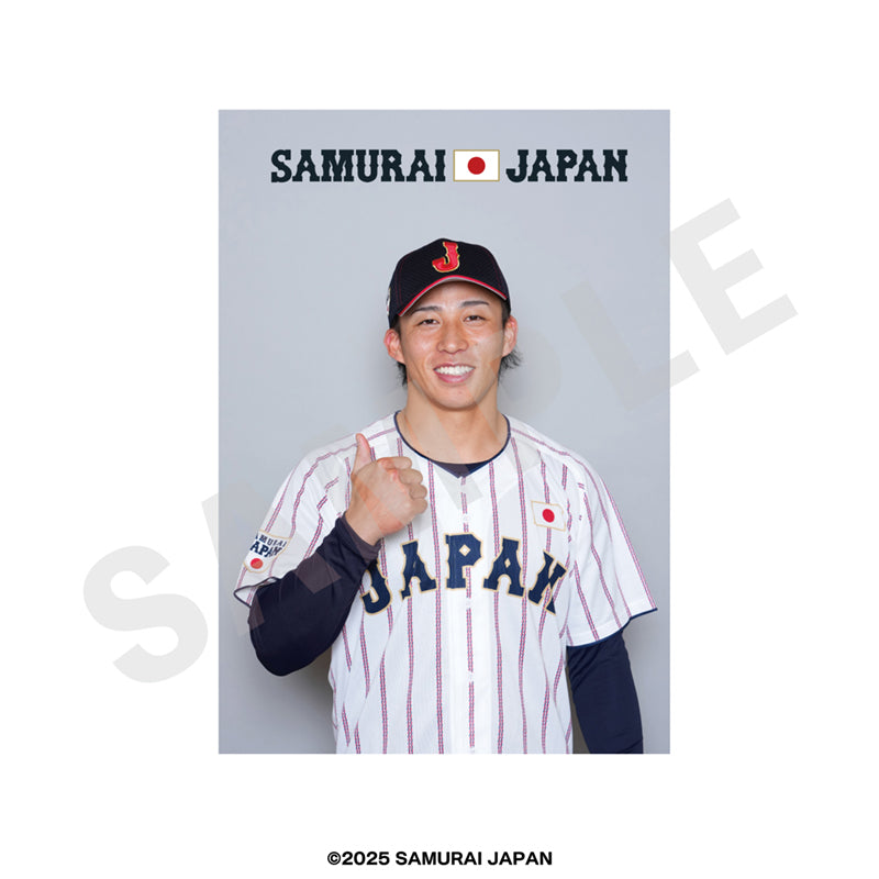 野球日本代表 侍ジャパン のグッズ、野村勇のブロマイドの画像です