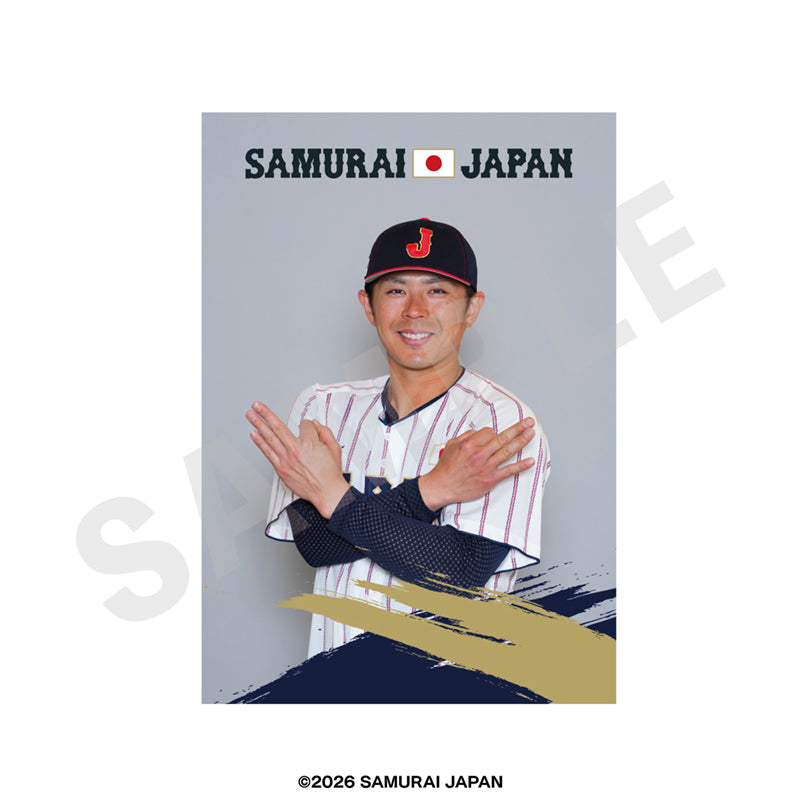 野球日本代表 侍ジャパン のグッズ、若月健矢のブロマイドの画像です
