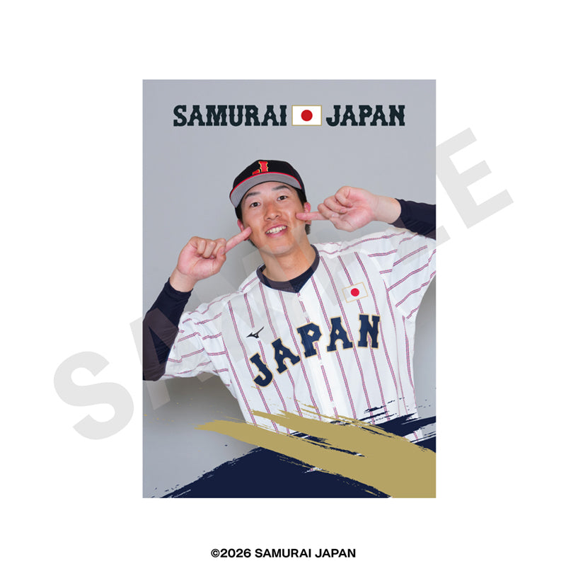 野球日本代表 侍ジャパン のグッズ、大勢のブロマイドの画像です