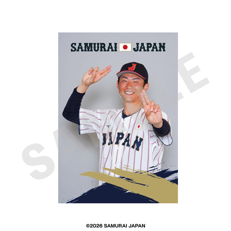 野球日本代表 侍ジャパン のグッズ、曽谷龍平のブロマイドの画像です