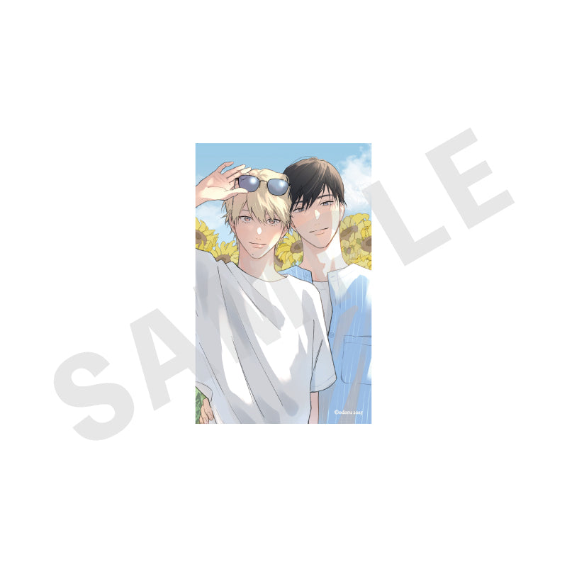 春のデジャヴに踊れ のグッズ、トレーディングカードの10枚目の画像です