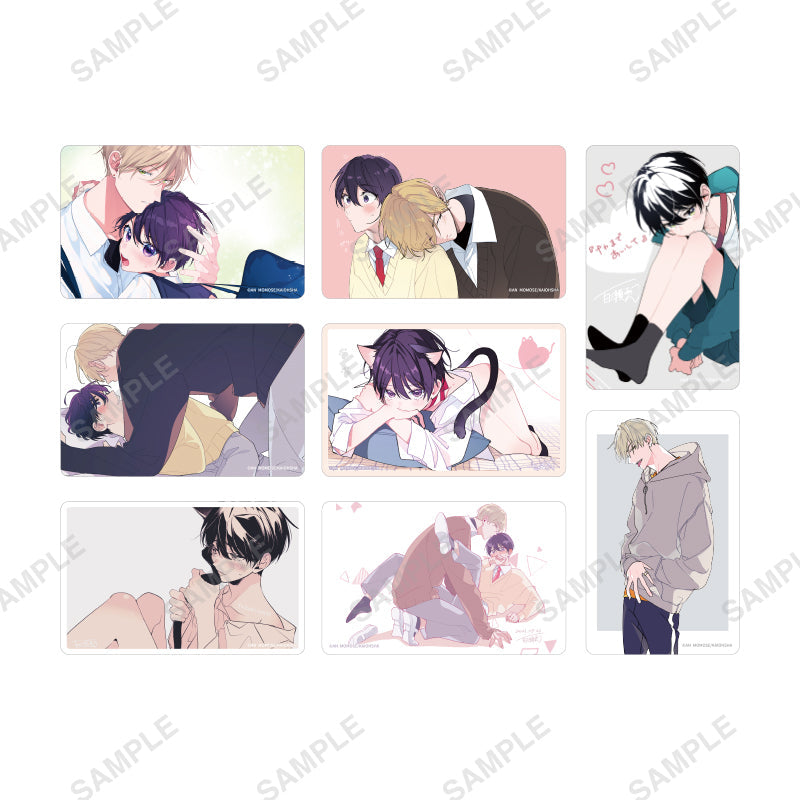 【全種BOX】「ナカまであいして」トレーディングカード の商品画像1枚目です