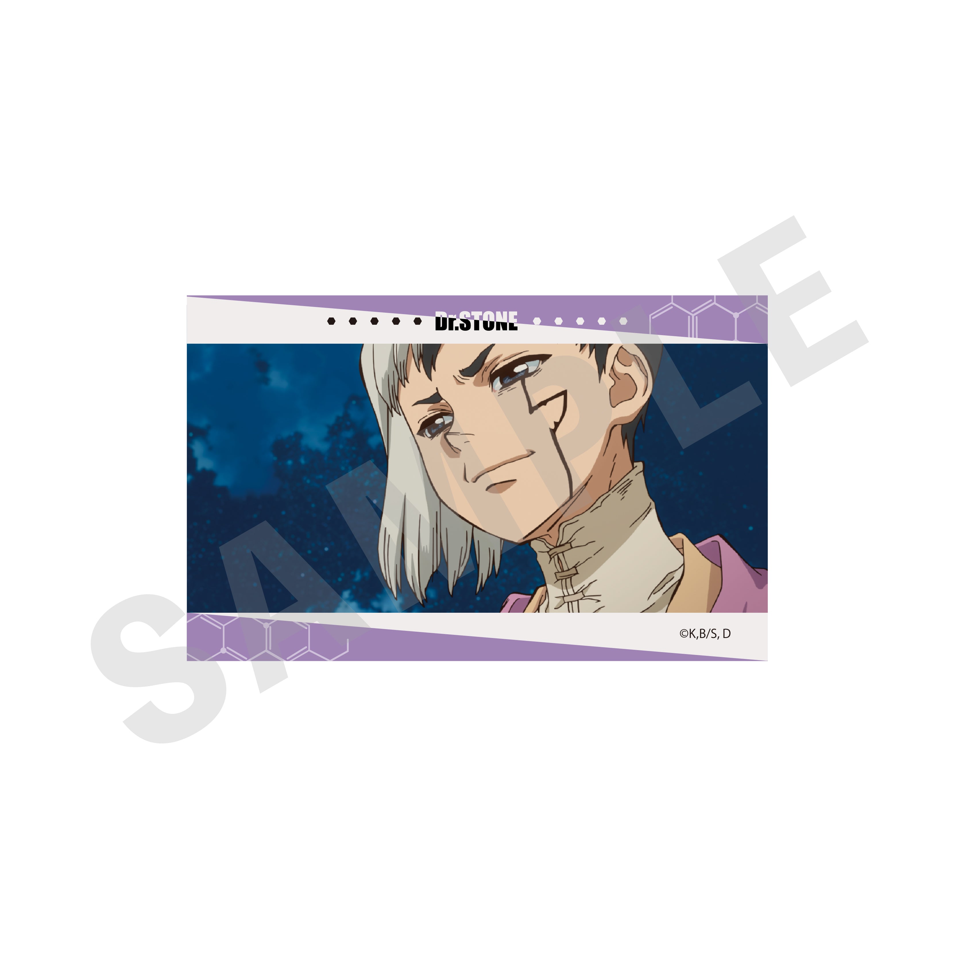 【単品】「Ｄｒ．ＳＴＯＮＥ」トレーディングカード（全10種）