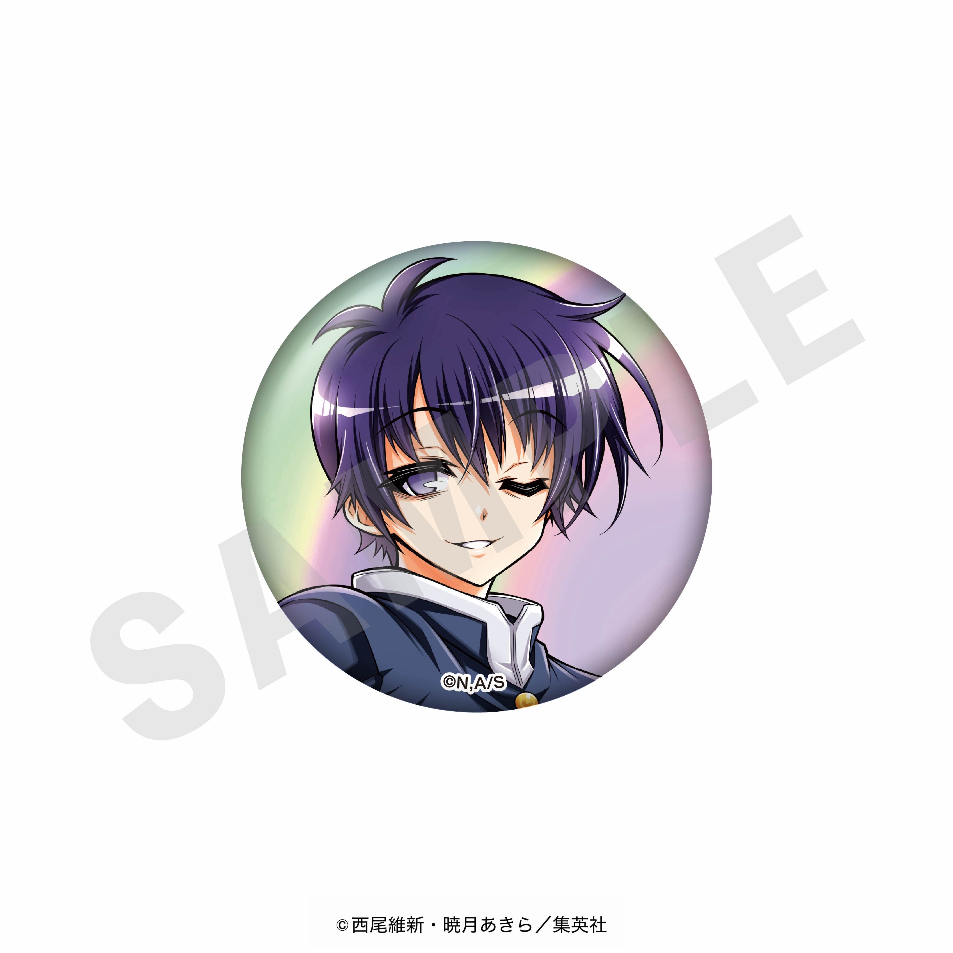 【全種セット】「めだかボックス」オーロラ缶バッジ(全12種) の商品画像4枚目です