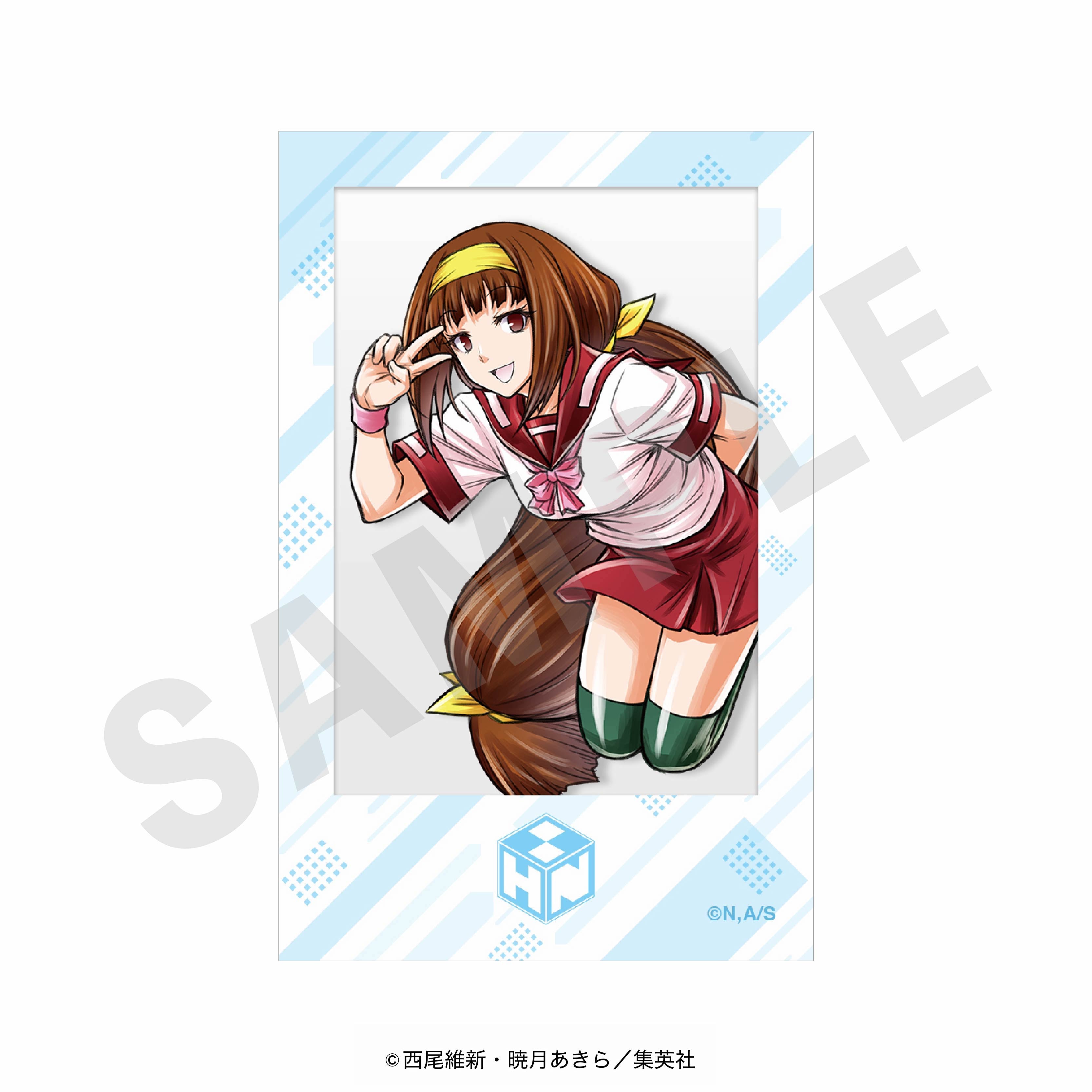 【全種セット】「めだかボックス」チェキ風カード(2枚入り/全26種) の商品画像6枚目です