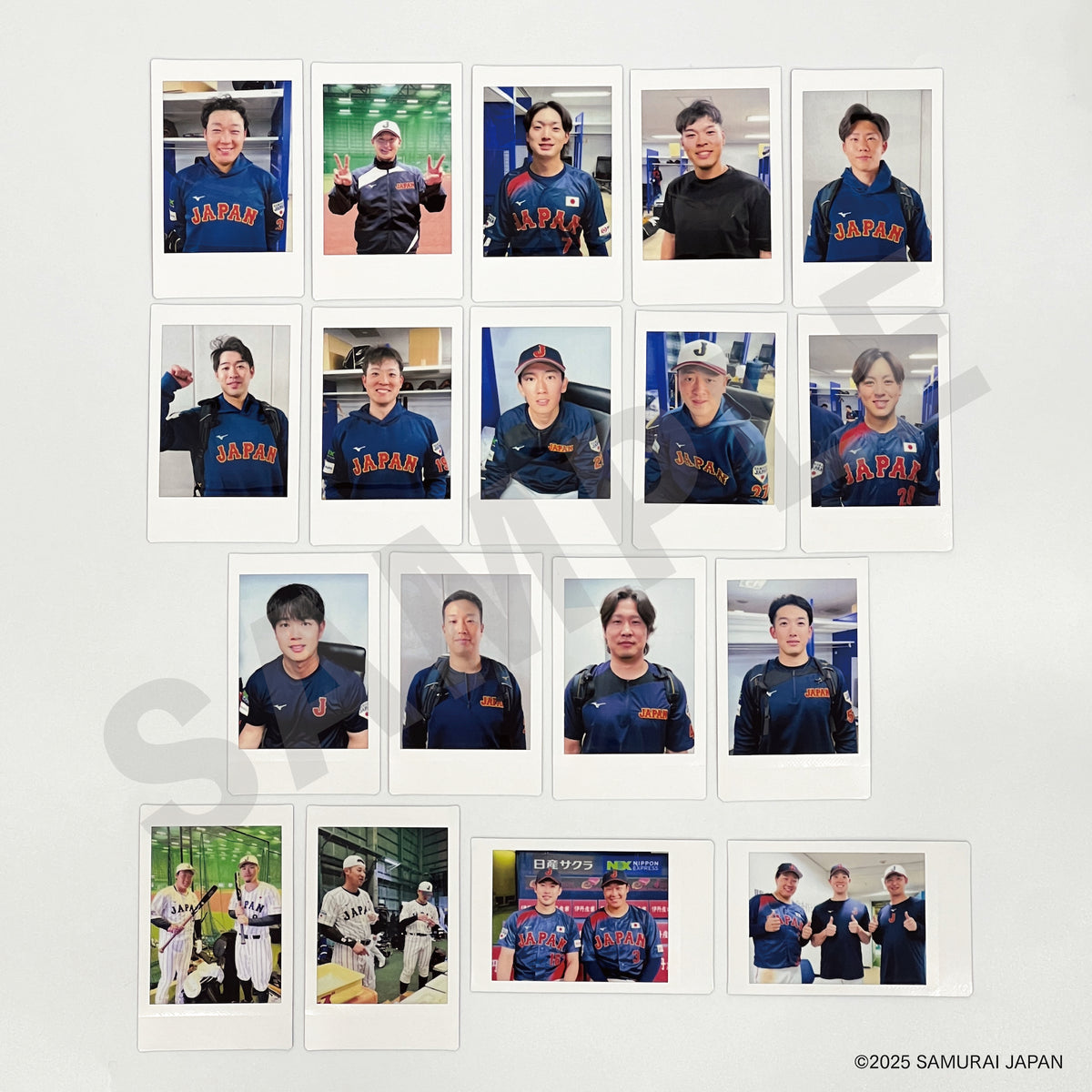 s250395_00_ptn.jpg?releaseVer=15