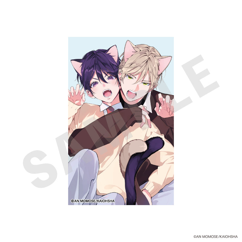 全種セット】「ナカまであいして」 トレーディングカード vol.2（全10