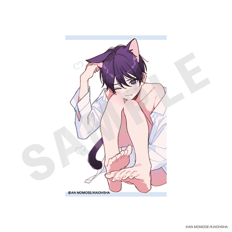 全種セット】「ナカまであいして」 トレーディングカード vol.2