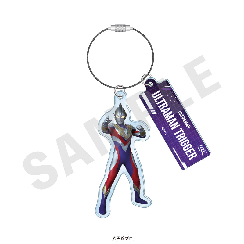 ウルトラマン全15種類キーホルダー 単品】「ウルトラマンシリーズ」 トレーディングワイヤーキーホルダー