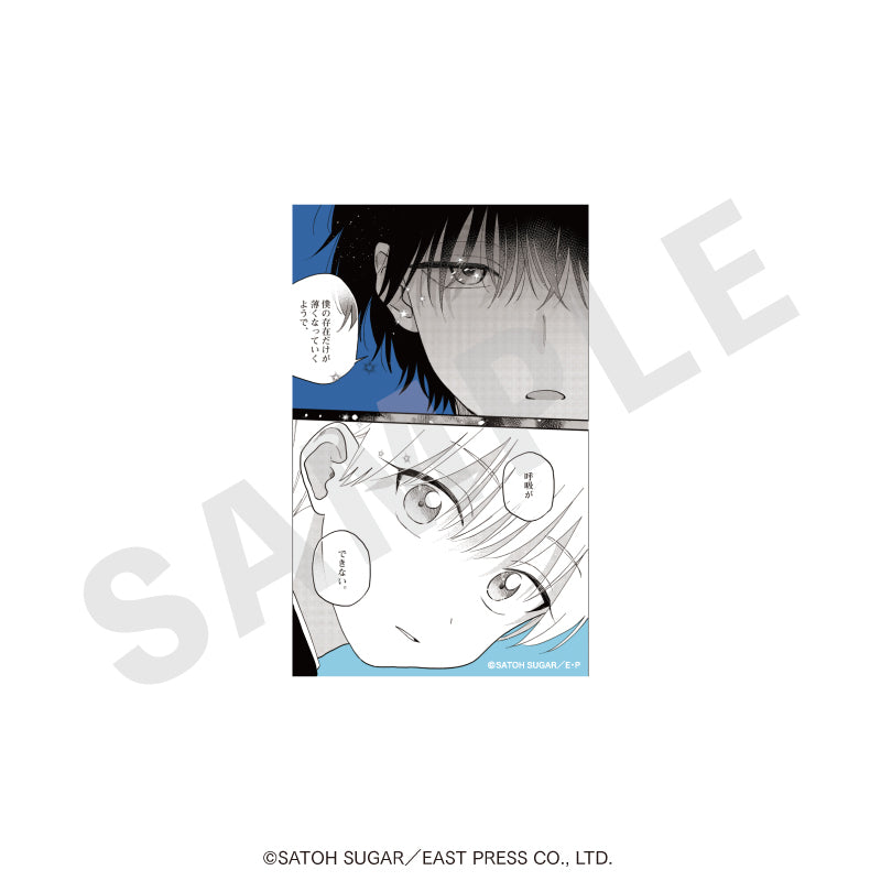 『北山くんと南谷くん』『西湖くんと東川くん』 のグッズ、北山雄貴・南谷歩・西湖和博・東川健二のトレーディングカードの9枚目の画像です