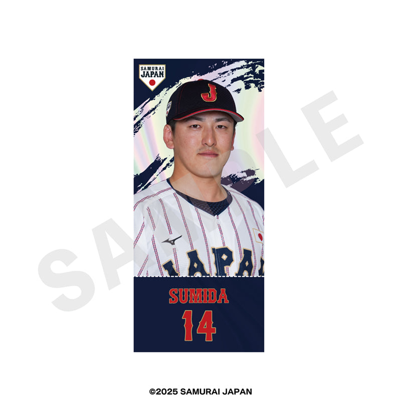 野球日本代表 侍ジャパン のグッズ、キーホルダーの10枚目の画像です