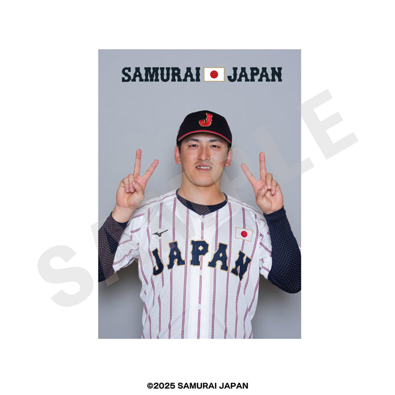 野球日本代表 侍ジャパン のグッズ、隅田知一郎のブロマイドの画像です
