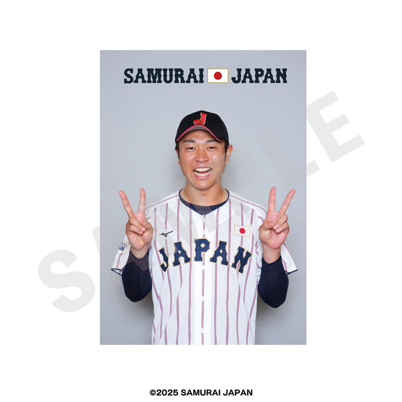 野球日本代表 侍ジャパン のグッズ、髙橋宏斗のブロマイドの画像です