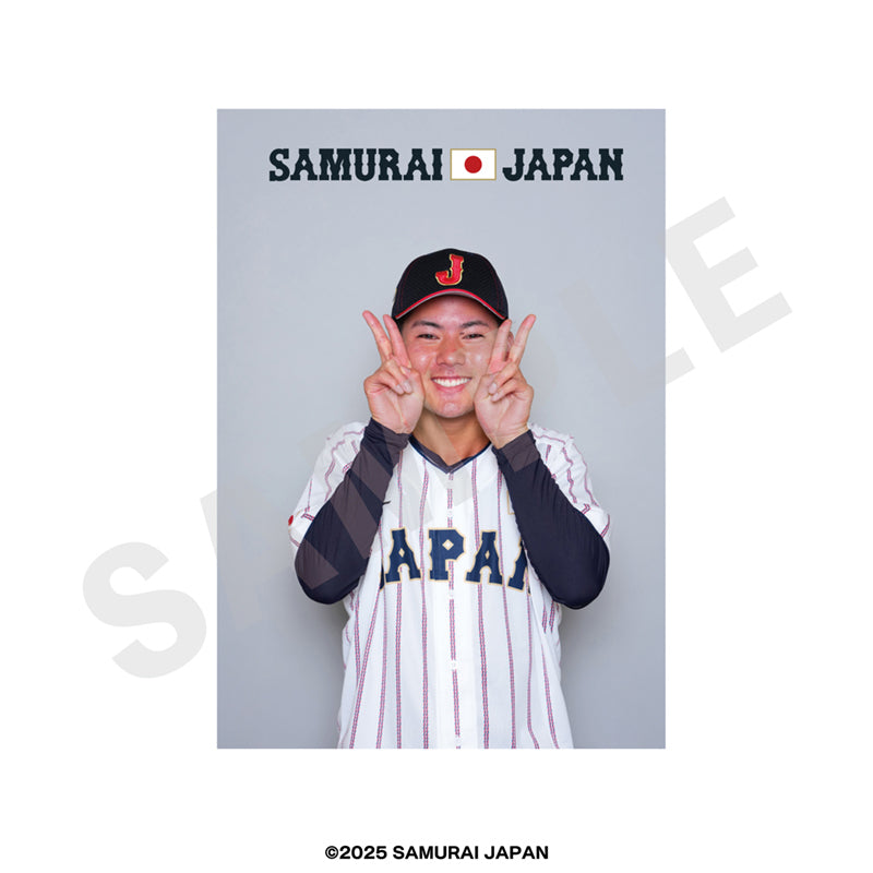 野球日本代表 侍ジャパン のグッズ、金丸夢斗のブロマイドの画像です