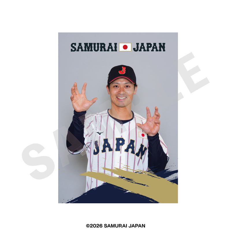 野球日本代表 侍ジャパン のグッズ、坂本誠志郎のブロマイドの画像です