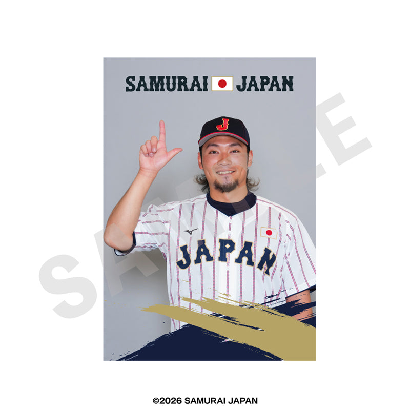 野球日本代表 侍ジャパン のグッズ、伊藤大海のブロマイドの画像です