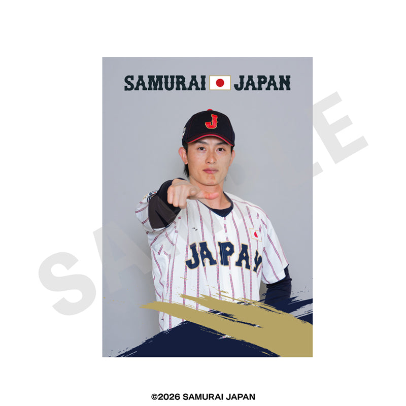 野球日本代表 侍ジャパン のグッズ、周東佑京のブロマイドの画像です