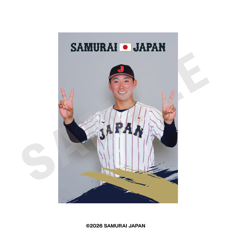 野球日本代表 侍ジャパン のグッズ、藤平尚真のブロマイドの画像です
