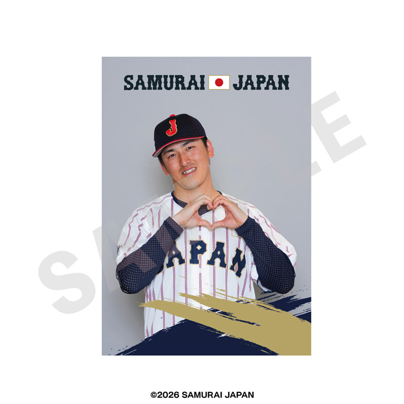 野球日本代表 侍ジャパン のグッズ、隅田知一郎のブロマイドの画像です