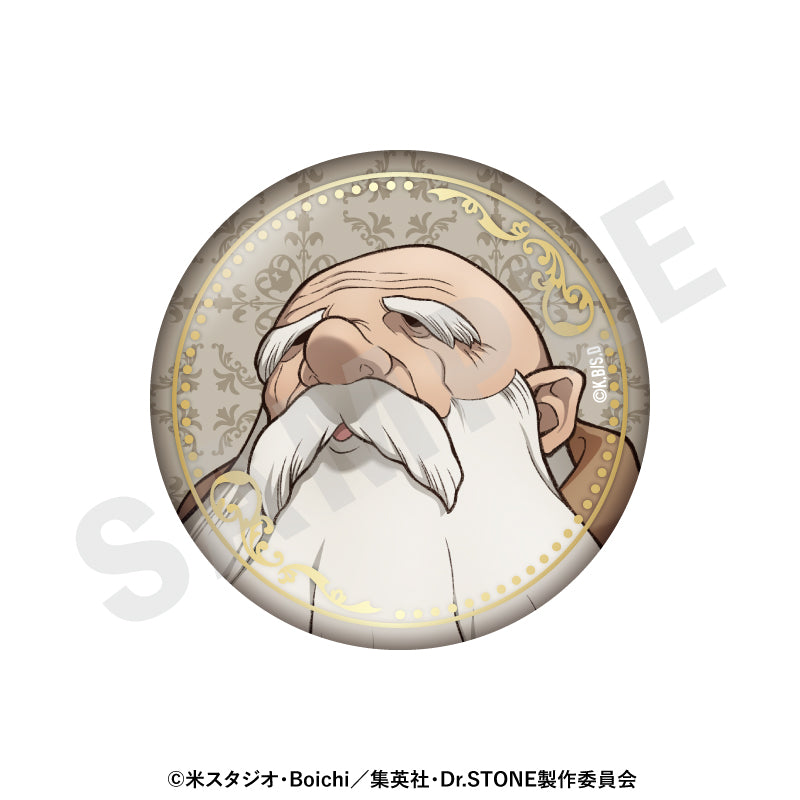Ｄｒ．ＳＴＯＮＥ のグッズ、カセキの缶バッジの2枚目の画像です
